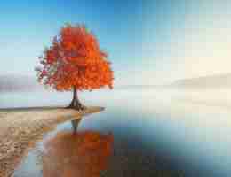 定‌制‍cdn节‍点‍脚‍本﻿怎​么‌做‌